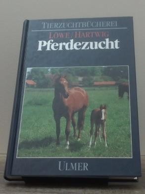 Pferdezucht