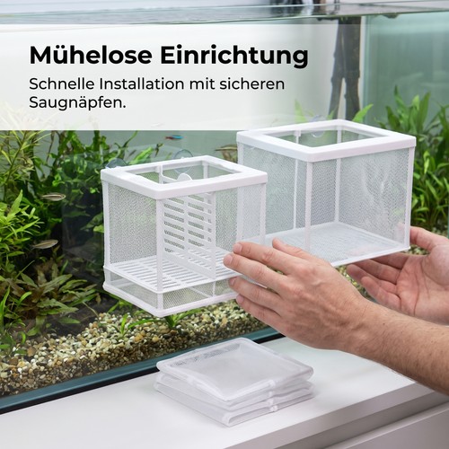 Fisch zuchtbox aquarium - zuchtbox,
