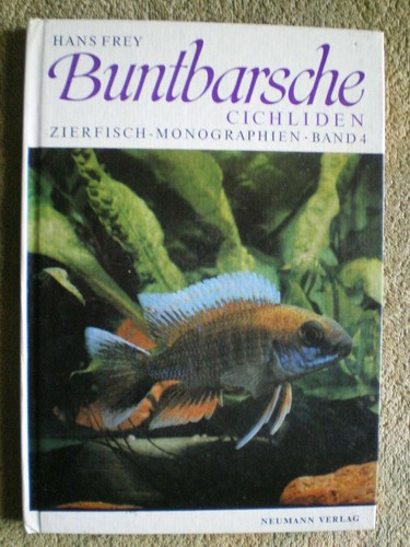 Buntbarsche cichliden - buntbarsche,