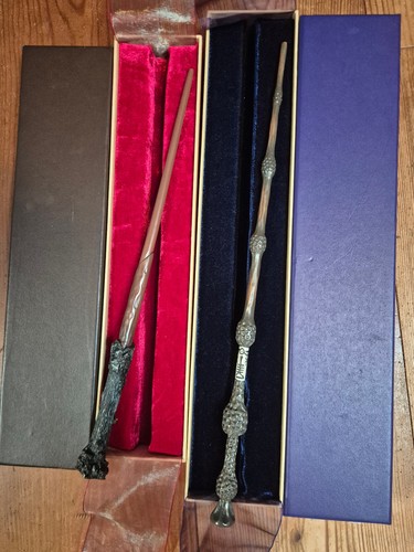 Harry potter und dumbeldore - harry,
