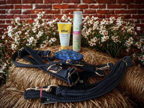 Geschenkset für pferd und - #3,