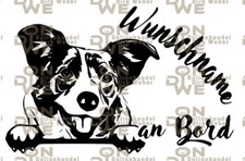 Aufkleber "Border Collie"