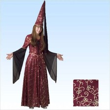 Kostüm Burgfräulein Gr. 42