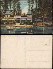 Postcard Bad Ziegenhals Głuchołazy Gaststätte Waldteich. 1913