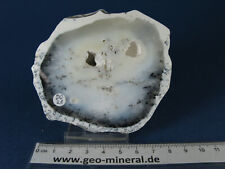 Dendritenopal, Mückenstein