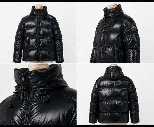 Canada goose crofton puffer - canada,