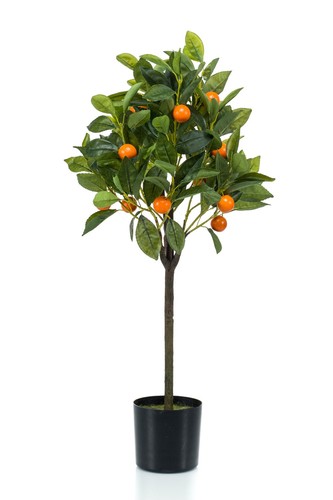 Artplants orangenbaum - artplants,