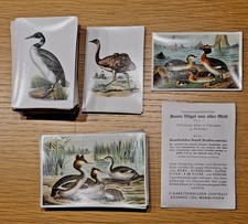 Zigarettenbilderalbum, Bunte