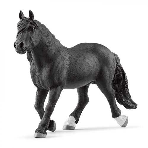 Noriker schwarzer hengst pferd - schwarzer,