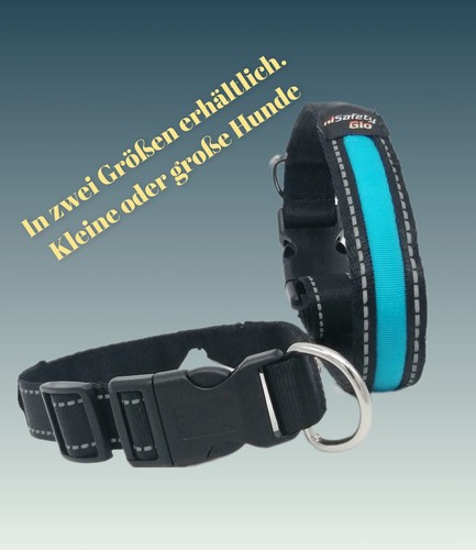 Hundehalsband nylon - ✅,