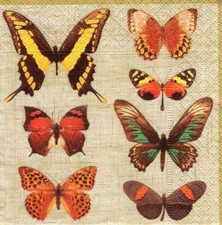 3 Cocktail Servietten ~ Frühling, verschiedene Schmetterlinge, Sammlung ~ 25x25