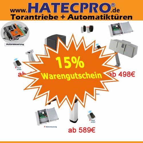 Torantriebe drehtor flügeltor - drehtor,
