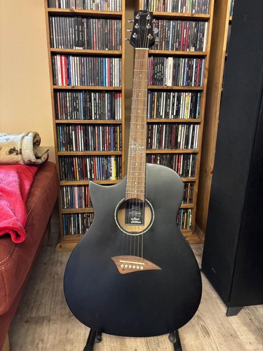 Lindo akustik gitarre - lindo,