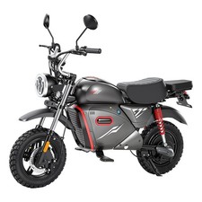 iScooter 15'' Elektro Motorrad