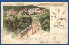 11 008 AK Litho „Drei Ahren Trois Epis b. Türkheim, Bergbahn“