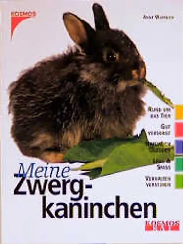 Meine zwergkaninchen - meine,