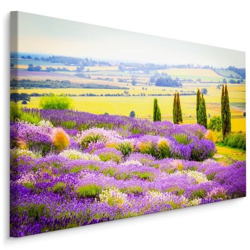 Canvas leinwand bilder xxl - leinwand,