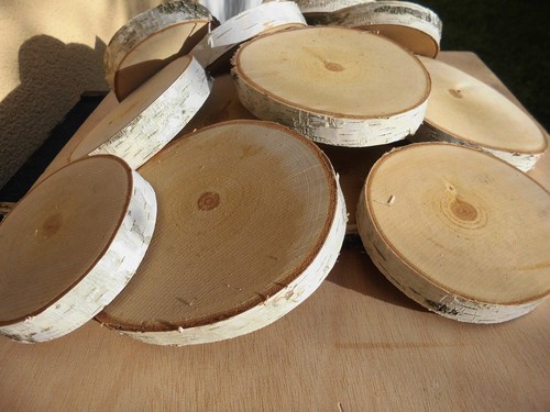 Holzscheiben 14 cm - x,