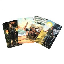 78 Stück Wild Reflections