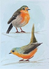 Rotkehlchen Original