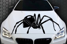 1x Spider Spinnen