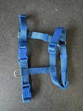 Leine und Geschirr für kleine Hunde / Hundeleine ca 2 m von Trixie - Top Zustand