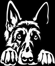 DEUTSCHER SCHÄFERHUND Aufkleber - Autoaufkleber - sticker - Schäferhund Kopf #88