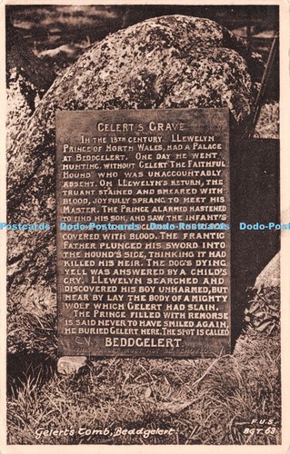 R232558 gelers comb beddgelert - r232558,