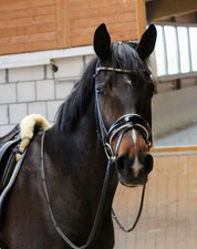 Trense myunicorn modell - trense,