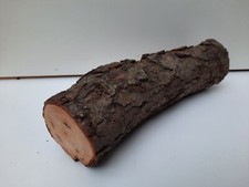 Drechsel Holz Ø 24 x 6 cm Erle verstockt, trocken, mit Rinde, Basteln    E-IV