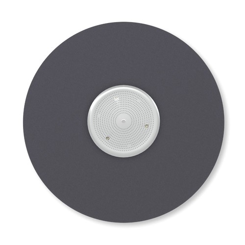 Schleifteller für