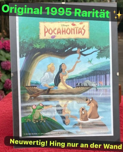 Disney pocahontas metallic - pocahontas,