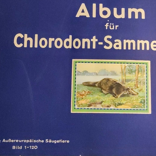 Leo werke h chlorodont - g.m.b.h.,
