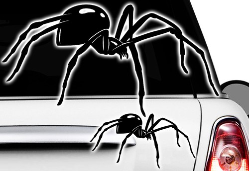 Spider spinnen - 1x,