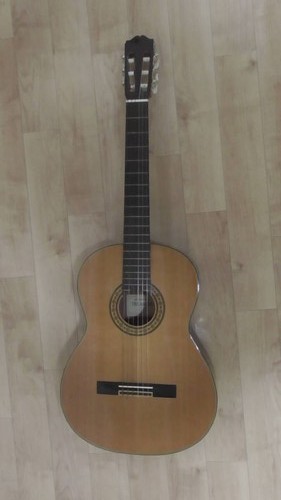 Takamine vintage - no.30,