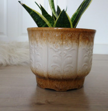 Großer Scheurich Blumentopf