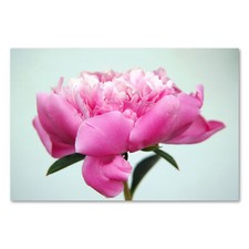 Postereck 0646 Poster Leinwand