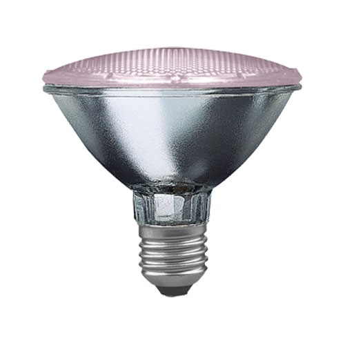 Paulmann halogen reflektor - paulmann,