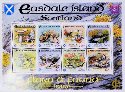 Schottland exemplar vögel - exemplar,