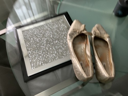 Miu ballerinas - miu,