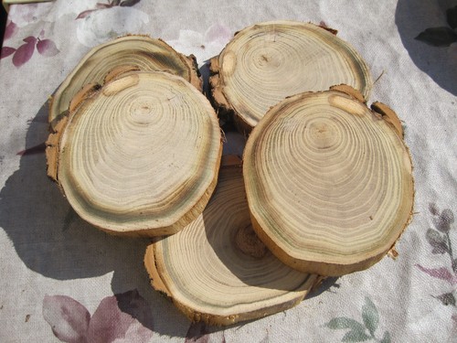Holzscheiben astscheiben - x,