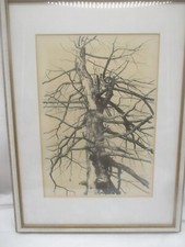 Original Tuschzeichnung „Der kale Baum“ von Dominik Jakubowski