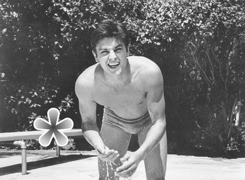 Foto alain delon - foto,