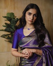 Saree party indisch - saree, hochzeit