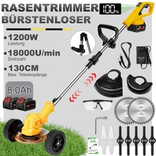 Akku Rasentrimmer Elektro