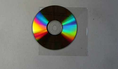 Crash test dummies - test, songs