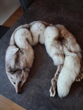 Silberfuchs Stola mit Kopf