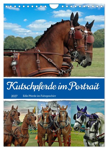 Kutschpferde portait - im,