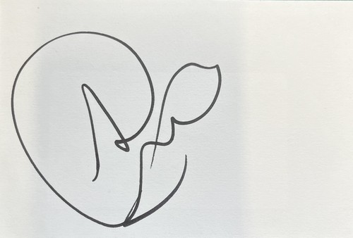 Sol campbell handsignierte - sol,