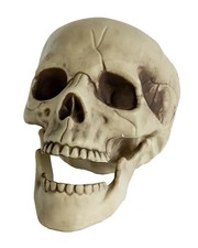 Totenkopf mit beweglichem